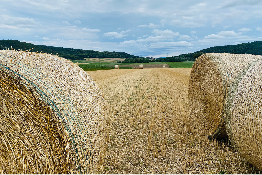 Fields