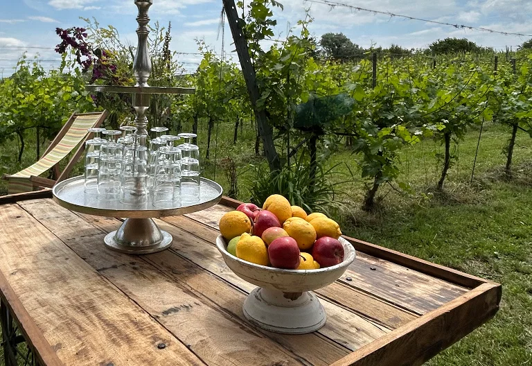 Vines, apples